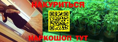 шишки Малгобек