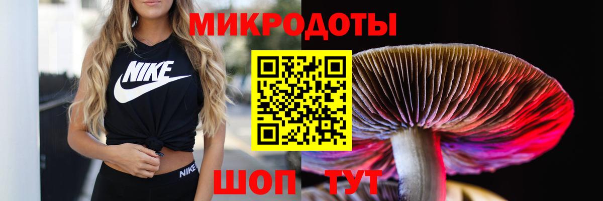 Псилоцибиновые грибы Psilocybine cubensis  Галлюциногенные грибы Psilocybine cubensis  Чехов  Вход с VPN 